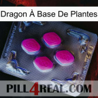 Dragon À Base De Plantes 02